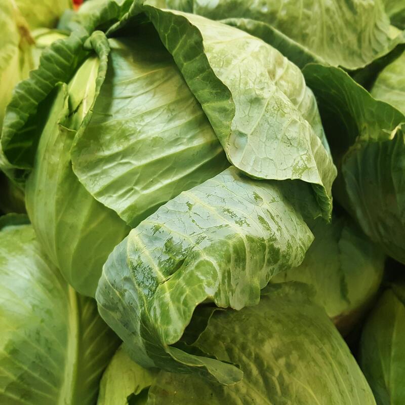 Cabbage